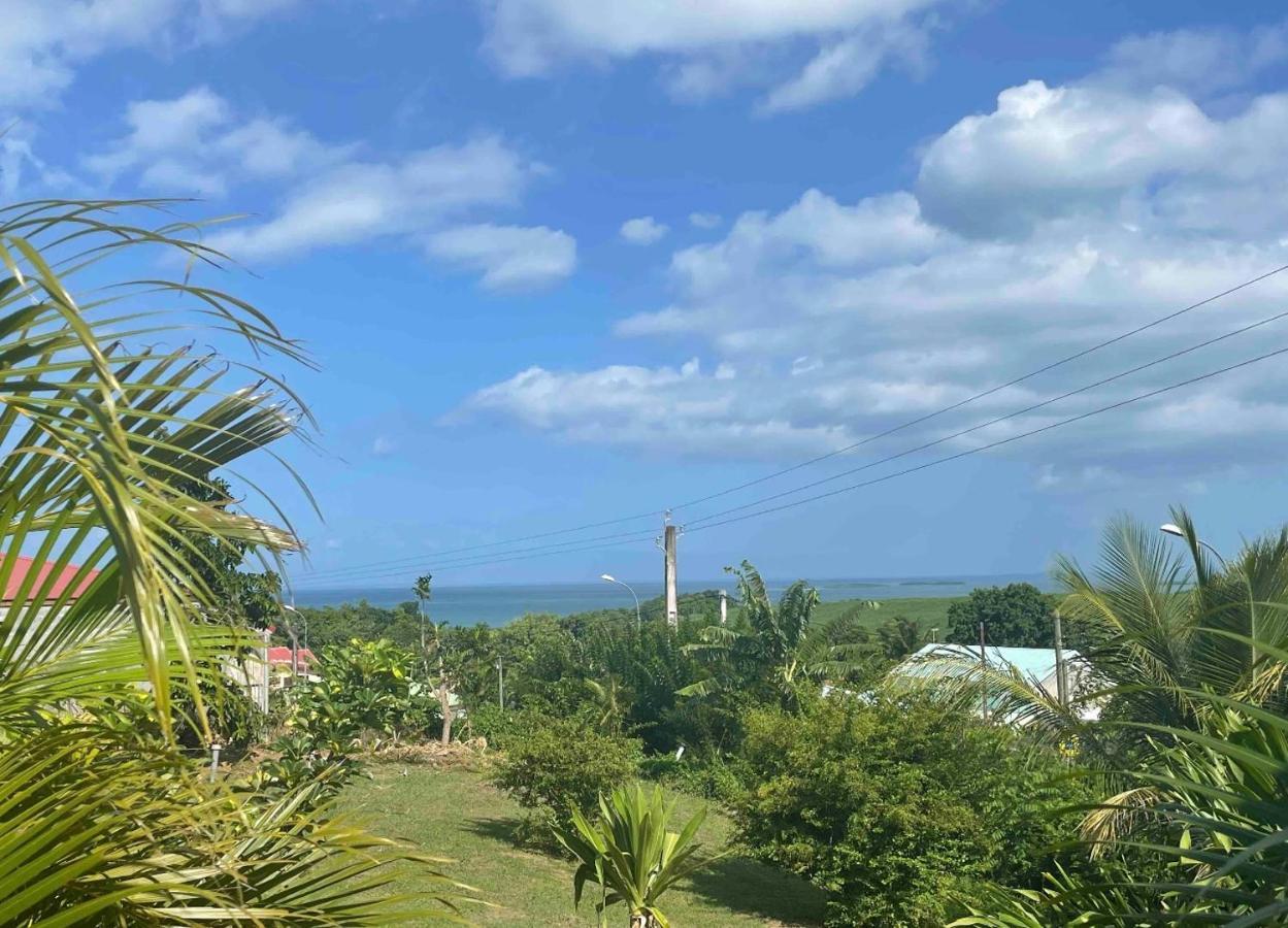 Bel Appartement T2 Avec Vue Sur Palmier Et Mer Sainte-Rose Exterior foto